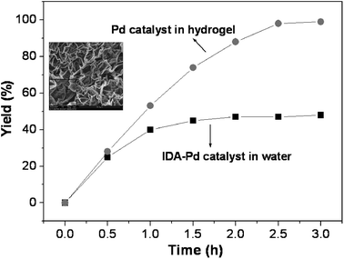 Comparison of the kinetic profiles of Suzuki reaction within the hydrogel (circle) and in water (squares). Reaction conditions: 4-bromoacetophenone (1.0 mmol), benzenboronic acid (1.5 mmol), K2CO3 (3.0 mmol), 0.050 mol% of Pd(ii) catalyst, 40 °C. Inset: SEM image of the porous structure of the PNIPAM-co-PMACHE hydrogel. Adapted with permission from ref. 54, ® 2009, The American Chemical Society.