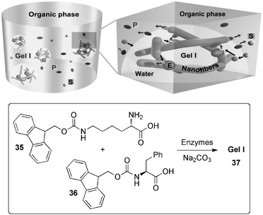 Illustration of hydrogel-immobilized enzymes 37 made of LMW 35+36 for catalyzing reactions in an organic solvent (E = enzymes; S = substrates; P = products). Reprinted with permission from ref. 90, ® 2007, The Royal Society of Chemistry.