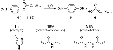 Hydrolysis of p-nitrophenyl esters 4 (top), which is catalyzed by the gels made of NIPA, Im, and N,N′-methylenebisacrylamide (MBA) (bottom).47