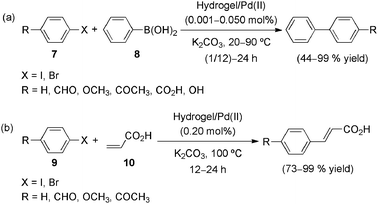 Suzuki (a) and Heck (b) reactions catalyzed by PNIPAM-co-PMACHE hydrogel/Pd(ii) composite. Reaction conditions: aryl halide 7, 9 (1.0 mmol), phenylboronic acid (8) or acrylic acid (10) (1.5 mmol), K2CO3 (3.0 mmol).53