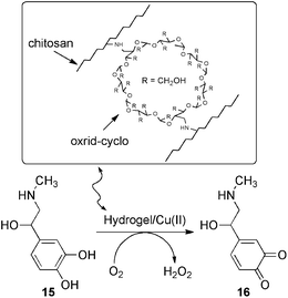 Oxidation of adrenaline catalyzed by Cu(ii)-loaded hydrogel based on chitosan/oxrid-cyclo. Reaction conditions: 0.17 g of swollen gel per mL of reaction mixture, 0.1 M Hepes buffer at pH 6.78, 25 °C. Turnover number of the catalyst kmax = 10−4 s−1.63