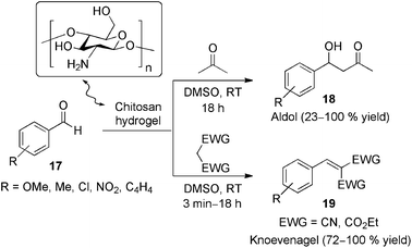 Chitosan hydrogel-catalyzed aldol and Knoevenagel reactions without formation of self-condensation or Cannizaro products. The catalyst could be recovered by simple filtration and reused efficiently in further experiments.64
