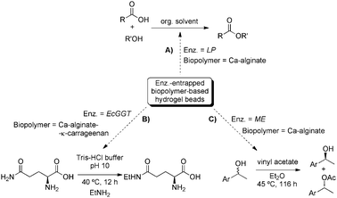Representative biocatalytic processes carried out using enzymes encapsulated in biopolymer-based hydrogels.74–76