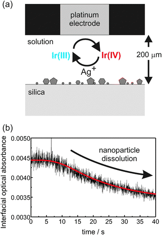 (a) Schematic representation of the thin layer electrochemical cell approach to dissolve the Ag NPs. (b) Absorbance transients (black line) and theoretical fit (red line) for a typical dissolution experiment where Ir(iv) was generated for the duration of a 10 s potential step.