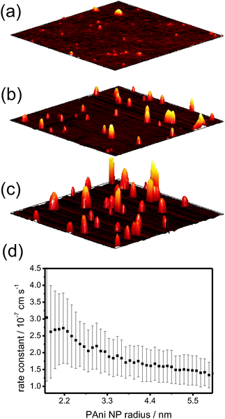 
            Ex
             situ TM-AFM images (1 μm × 1 μm scans) of PAni (monomer concentration: 0.2 M) measured after a polymerisation time of (a) 2 min, (b) 4 min and (c) 6 min. (d) The average polymerization rate constant as a function of PAni NP radius (derived from the interfacial absorbance measured by EW-CRDS see ref. 46).