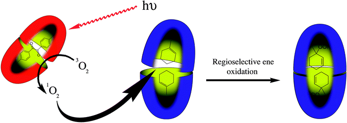 Regioselective ene oxidation of encapsulated allylic guests.