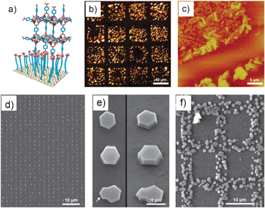 (a–c) Arrays of MOF-5 crystals. (a) Schematic illustration of the concept of anchoring a typical MOF-5 building unit to a COOH-terminated SAM. (b) Optical microscope and (c) AFM images of a selectively grown film of MOF-5 on a patterned SAM of 16-mercaptohecadecanoic acid on a Au surface. The MOF-5-coated squares are 40 × 40 μm, and the crystals are about 100–500 nm in size. (d–f) Arrays of HKUST-1 crystals fabricated by LCW. (d) Large view and (e) details of individual crystals viewed from above (left) and at a 35° angle (right). The arrow indicates intergrowths caused by a second nucleation. (f) Square-like membrane structure composed of HKUST-1 crystals (© The American Chemical Society and Wiley Interscience, reprinted with permission).