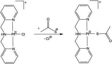 Reaction of [PtII(dpma)Cl]+ with thioacetate.