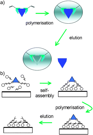 The rational development of molecularly imprinted polymer