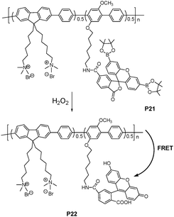 Schematic representation of H2O2 assay.