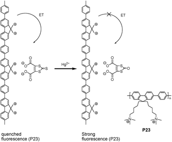 Fluorescent chemosensors based on conjugated polymers with N-heterocyclic  moieties: two decades of progress - Polymer Chemistry (RSC Publishing)  DOI:10.1039/D0PY00336K