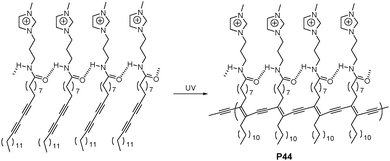 Chemical scheme of P44.