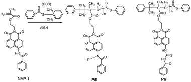 Scheme of synthetic procedure for P5 viaRAFT polymerization and chemical structure of P6.