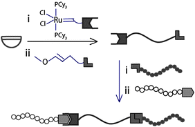 Schematic representation of the synthesis of a heterotelechelic polymer from functionalized initiators and chain-terminators and its self-assembly into supramolecular ABC triblock copolymers.