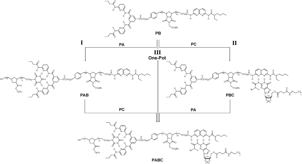 
          ABC
          triblock copolymer formation through stepwise and one-pot self-assembly.