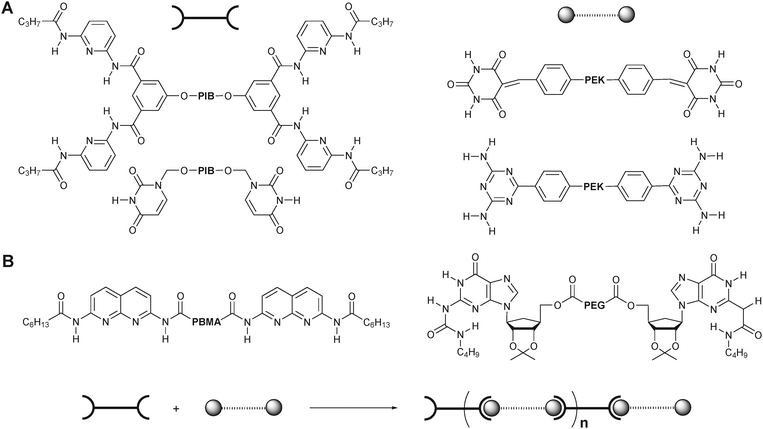 
            Self-assembly of complementary homotelechelic polymers into supramolecular multiblock copolymers. PIB = poly(isobutylene); PEK = poly(etherketone); PBMA = poly(butyl methacrylate); PEG = poly(ethylene glycol).