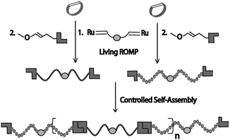 Schematic representation of the synthetic strategy towards well-defined supramolecular alternating block copolymers.