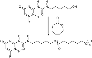 
          Ring-opening polymerization of ε-caprolactone with a UPy-functionalized initiator.