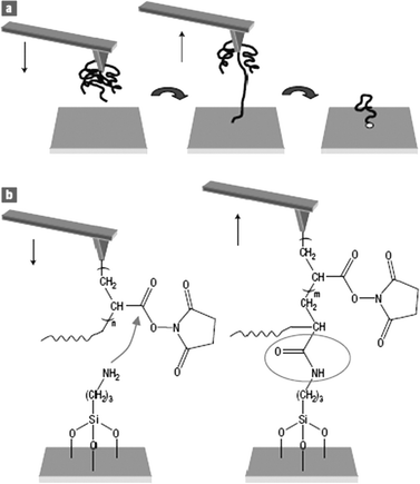 Electrografting: a powerful method for surface modification 