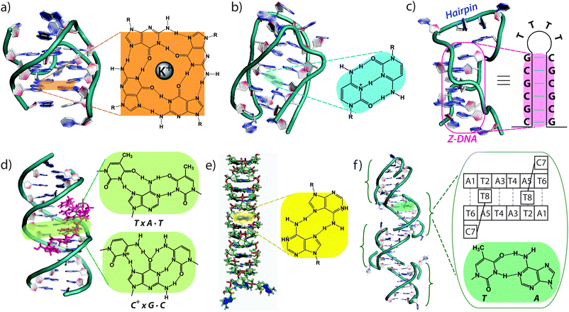 Conformational changes of non-B DNA - Chemical Society