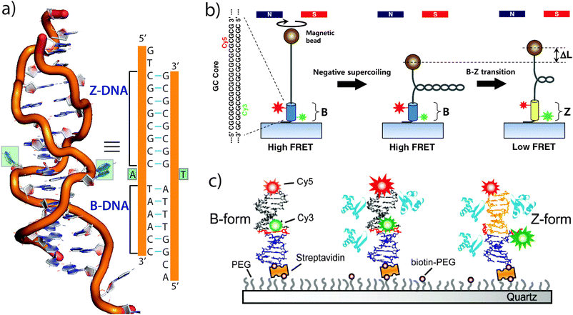 B’z CD B'z – B'z – CD (Album, Stereo), 1988 [r2406048] | Discogs