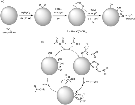 Proposed catalytic cycle on the acetylation of a given alcohol by photo-activated TiO2 nanoparticles with oxidative pre-treatment of aqueous H2O2.