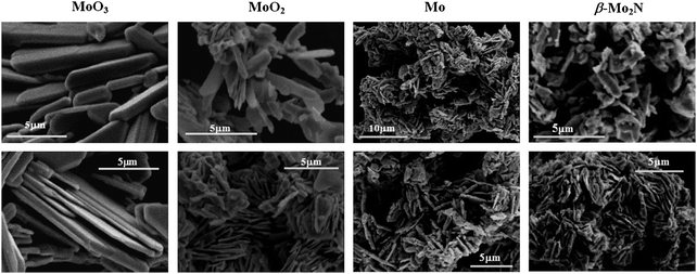 
                SEM micrographs of starting MoO3 (sample 1, Fig. 1(A); first row, Fig. 2), passivated MoO2 (sample 3, Fig. 1(A); third row, Fig. 2), Mo (sample 10, Fig. 1(B)) and β-Mo2N (sample 8, Fig. 1(A); eighth row, Fig. 2).