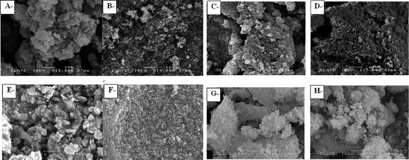 
            FE-SEM images of samples CuAlMg at a molar ratio of Cu : Al : Mg (A) (2.5 : 100 : 200) (B) l (5 : 100 : 200), (C) (10 : 100 : 200) (D) (20 : 100 : 200), and their corresponding CuAlMg–C samples after calcinations for 6 h at 650 °C at a molar ratio of Cu : Al : Mg (E) (2.5 : 100 : 200) (F) (5 : 100 : 200), (G) (10 : 100 : 200) and (H) (20 : 100 : 200) (bar = 1 micron).