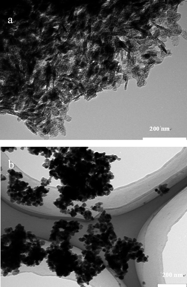 Typical TEM images of samples CuAlMg at a molar ratio of (a) Cu : Al : Mg 20 : 100 : 200 and (b) Cu : Al : Mg 20 : 100 : 200.