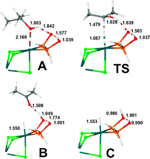 Molecular structures of A, B and C intermediates, and the transition state TS. Selected interatomic distances in Å. Only the active part of the complex is shown.