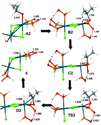 Molecular structures of A2, B2, C2, D2 and 5, and the transition state TS2. Selected interatomic distances in Å. Only the active part of the complex is shown in the left side structures.
