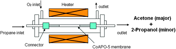 Diagrammatic representation of tubular reactor set-up for vapor-phase reactions.