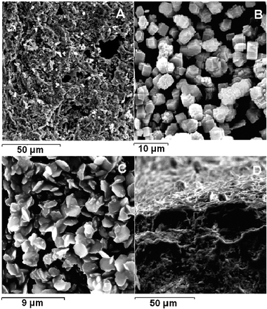 SEM images of the α-alumina tube (A); CoAPO-5 after first coating (B); CoAPO-5 after second coating (C) and edge-broken finished tubular membrane (D).