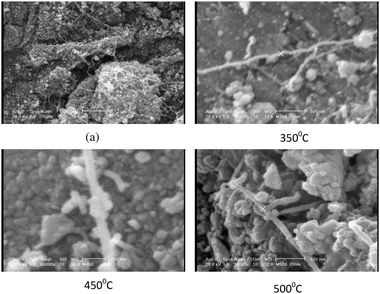 
              SEM images of the (a) acid treated MWCNTs (1 μm), and TiO2/MWCNTs calcined at various temperatures (the scale bars in figures represent 500 nm).