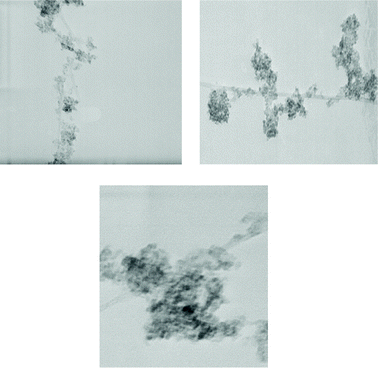 
              TEM micrograph images of TiO2/MWCNTs hybrid.