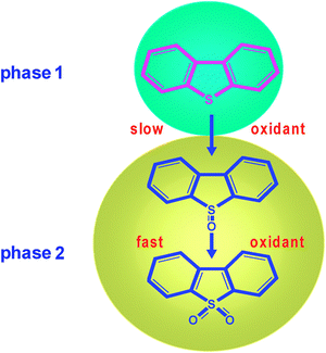 Simplified scheme showing the oxidation of DBT. The oxidant donates O-atoms to the DBT molecule present in the organic phase to form first sulfoxide and then sulfones (these oxidized compounds accumulate mainly in the polar phase).