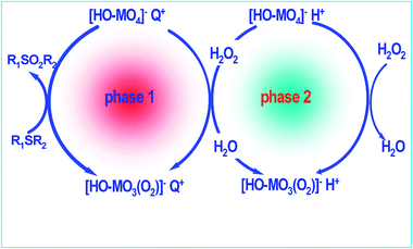 Biphasic oxidation reaction catalyzed by metallic peroxides.