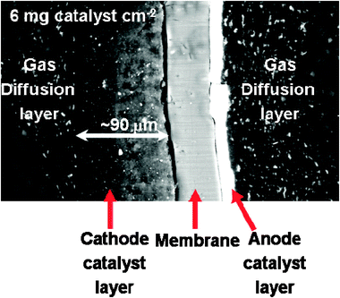 A typical SEM image of MEA cross-section with a cathode catalyst loading of 6 mg cm−2. Reproduced from ref. 35 with permission from Elsevier.