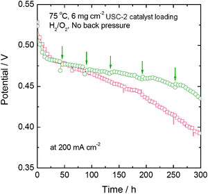 Comparison of the stability tests of two single cells with and without the periodic stop/restart process.