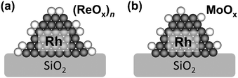 Structures of Rh–MOx/SiO2. (a) M = Re, (b) M = Mo.