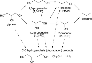 Pathways of hydrogenolysis of glycerol.