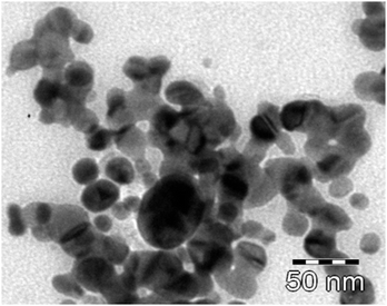 
            TEM image of Cu-nanoparticles. The scale bar corresponds to 50 nm in the TEM image.