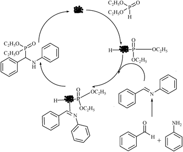 A proposed mechanism of the synthesis of α-amino phosphonates.