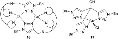 
              Triazoles–copper(i) complexes in CuAAC.