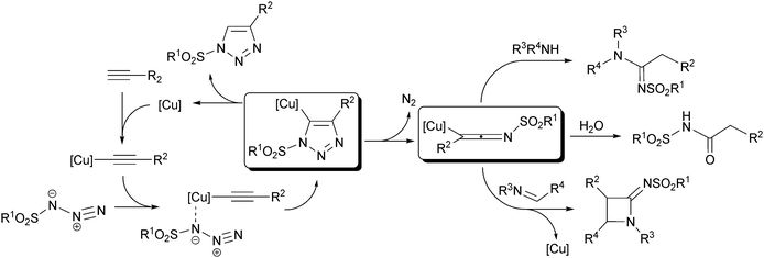 Postulated mechanisms for reactions with sulfonyl azides.