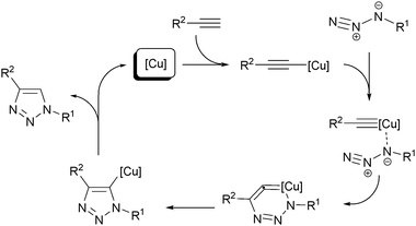 Early proposed mechanism for the CuAAC.