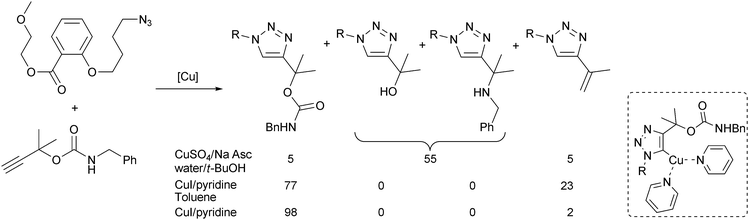 Selectivity for CuAAC with propargyl carbamates.