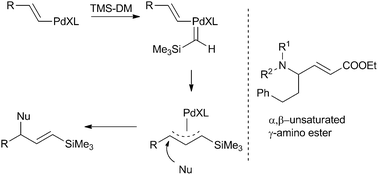 Preparation of vinylsilanes viacarbene insertion followed by nucleophilic attack (left) and structure of α,β-unsaturated γ-amino esters (right).
