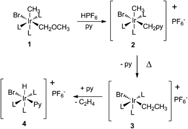 Migratory insertion of a ‘hidden carbene’ into an Ir–C bond.