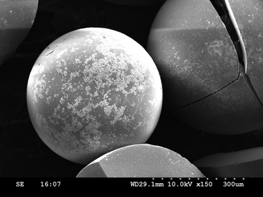 
          SEM image of the copper exchanged INDION-770 resin catalyst (freshly prepared catalyst).